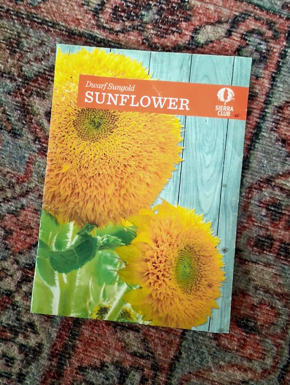 Sunflower Seeds < FREEBIE